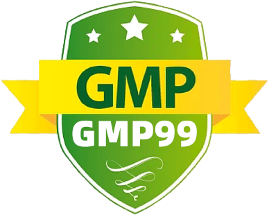 mygmp99.my Logo